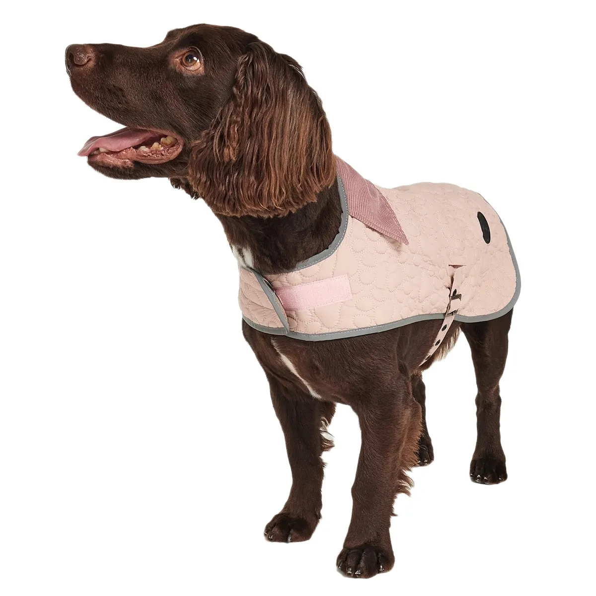 Barbour Paw Quilted Dog Coat