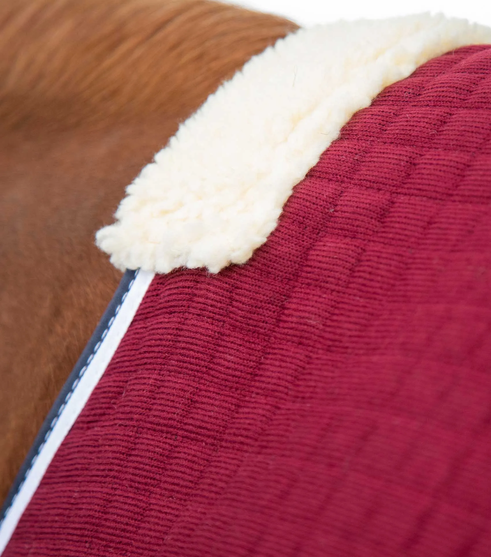 PremTex Horse Cooler Rug Burgundy