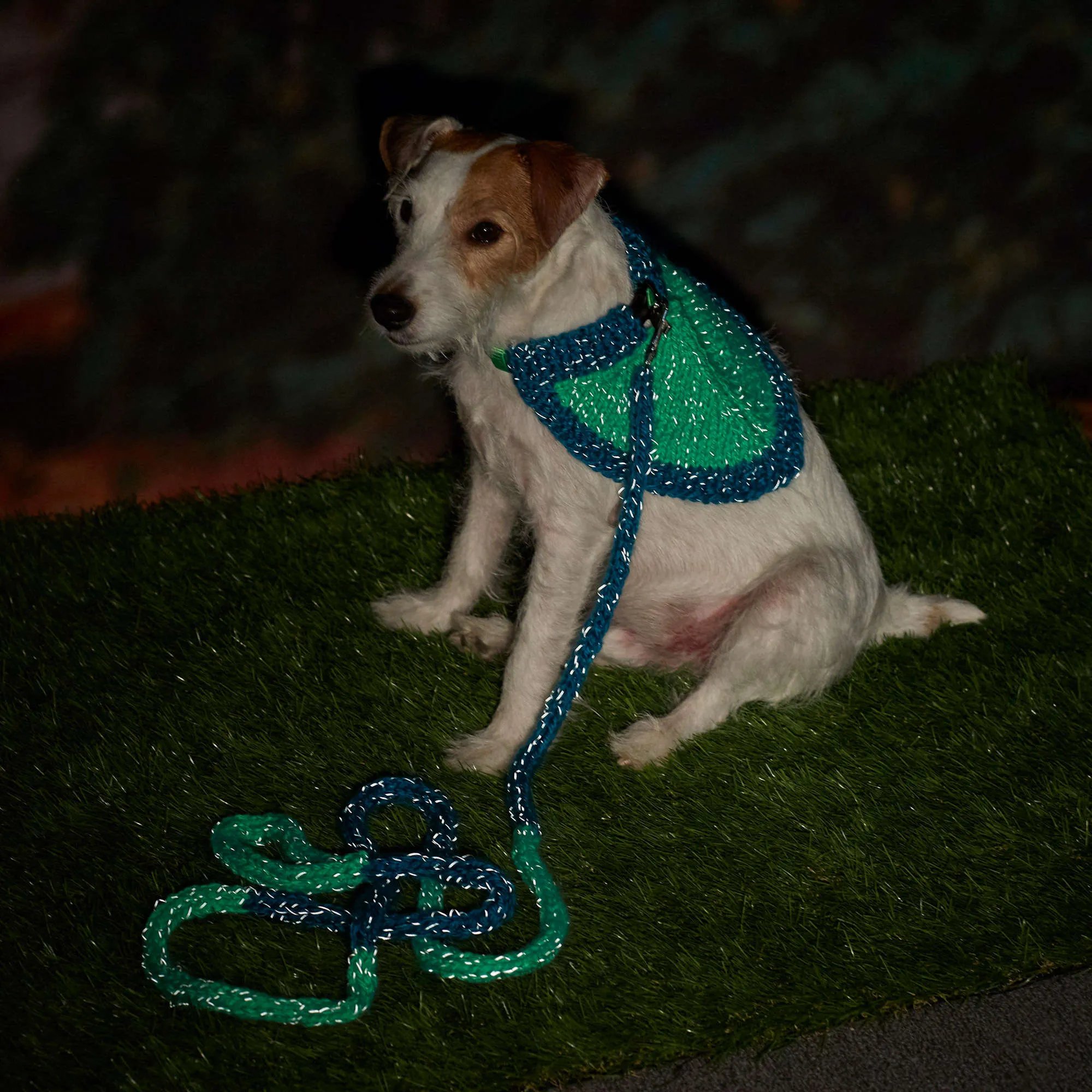 Red Heart Knit Flashy Dog Leash & Bandana