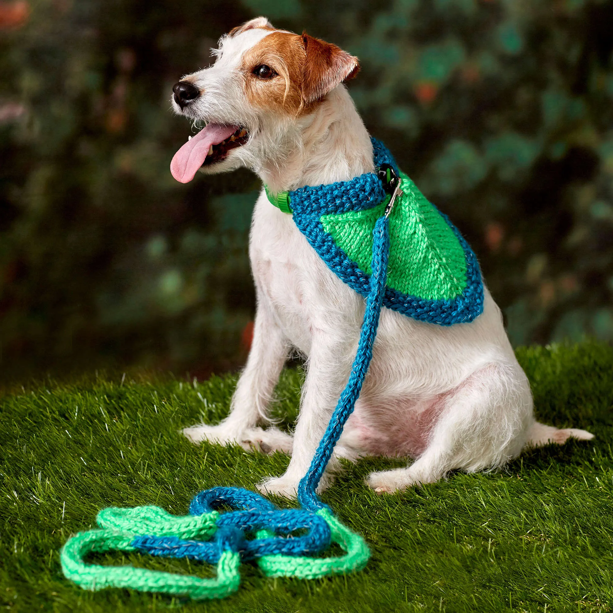 Red Heart Knit Flashy Dog Leash & Bandana